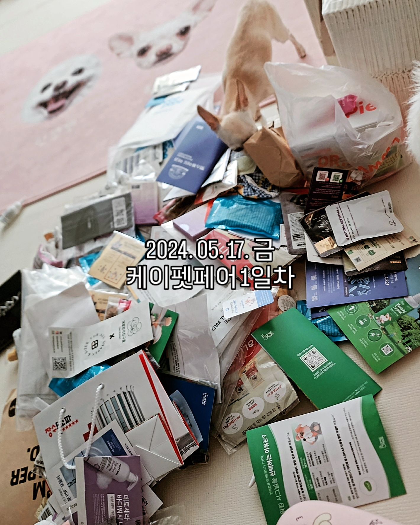 382ae82900c5e8a8cca4fdb860f21286.heic