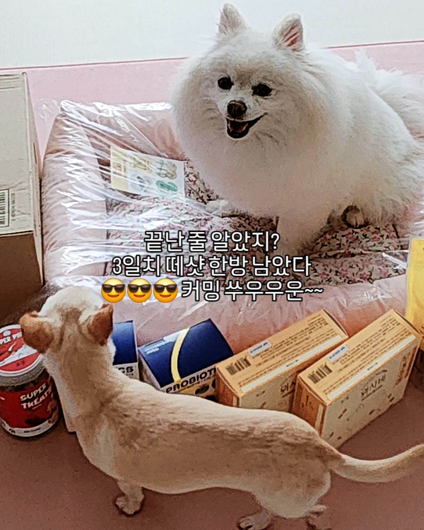 4dbdea0e39ecd6e0d3093e4bd4cb0391.heic